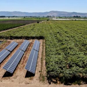 agricola montefrutal 1 solcor 1