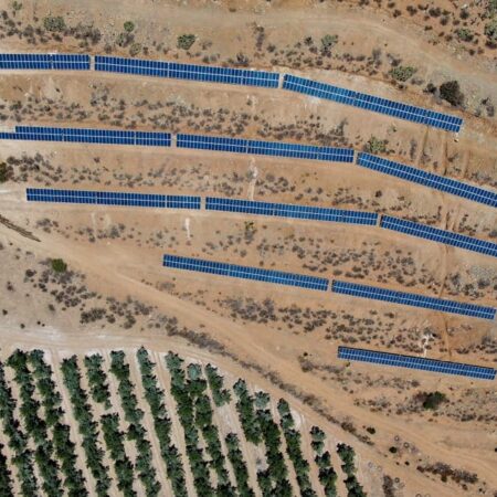 agricola rincon del nilhue solcor 1