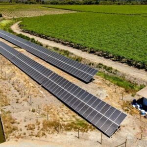 agricola san antonio solcor 1