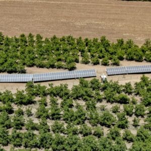 agricola santa sara solcor 1