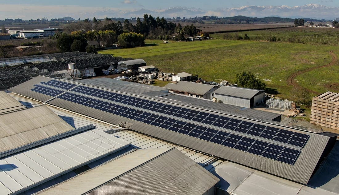 campofrut solcor 1 campofrut solcor 1