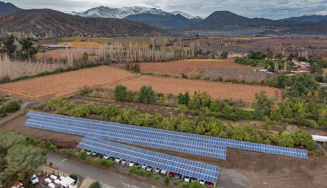 cecinas bianchini solcor 1 cecinas bianchini solcor 1