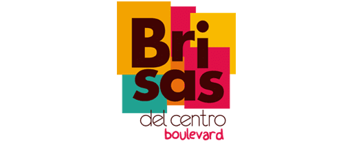 logo brisas