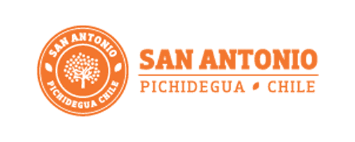 logo san antonio