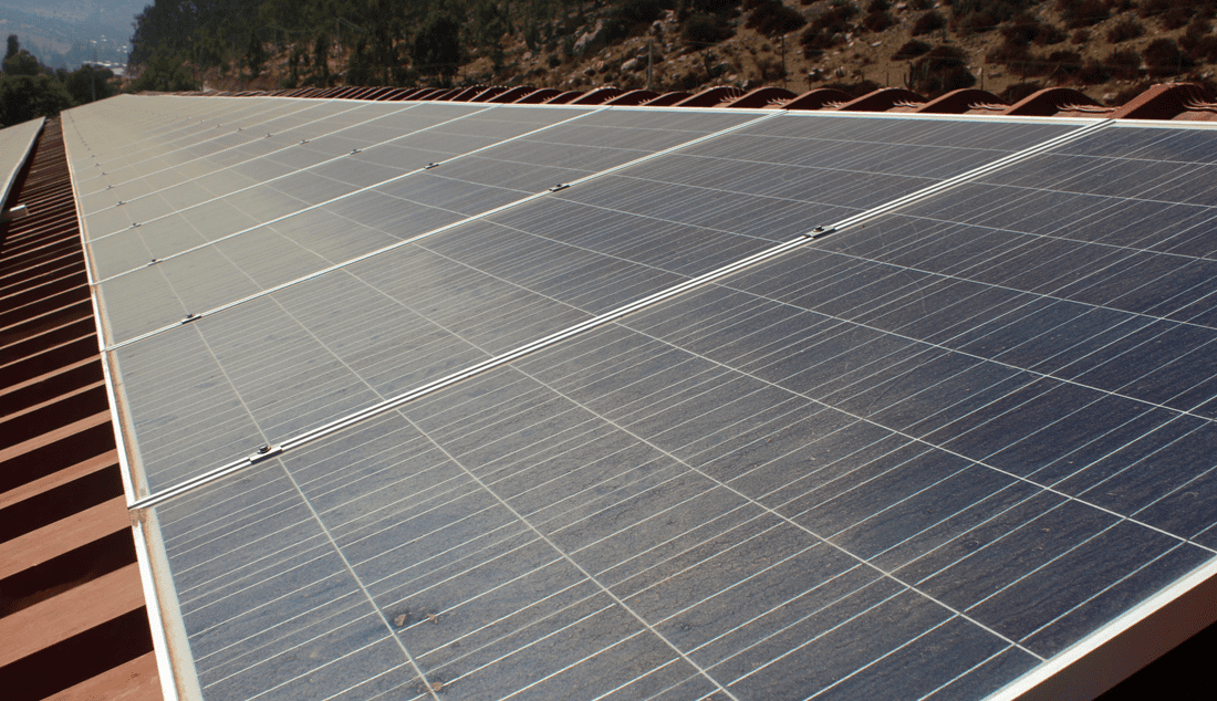 nueces del choapa 1 nueces del choapa 1