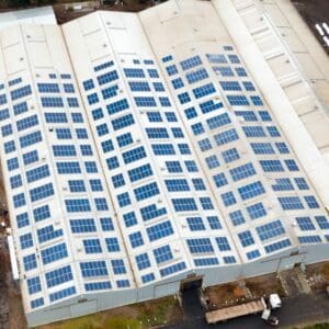 santis frut solcor 1