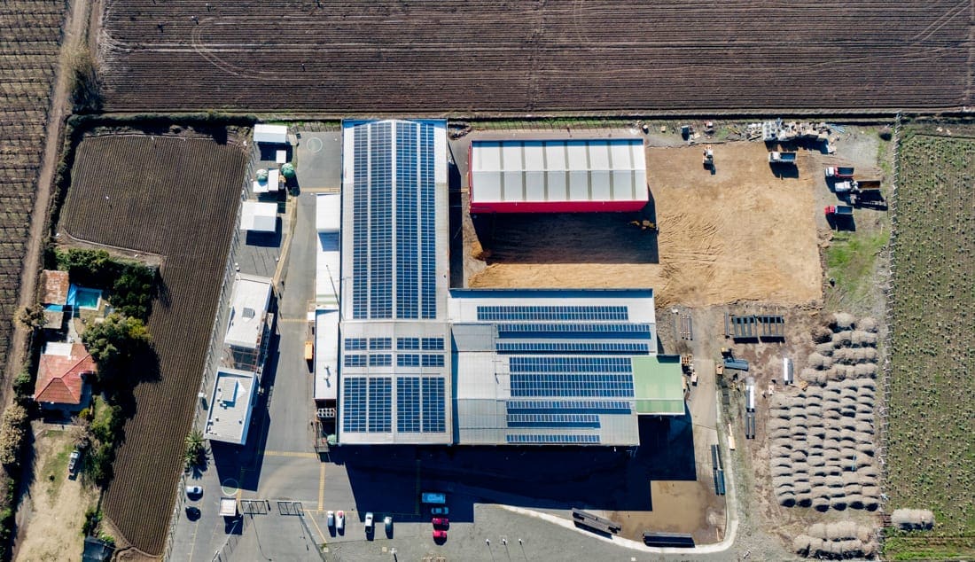 terrafrut solcor 2 terrafrut solcor 2