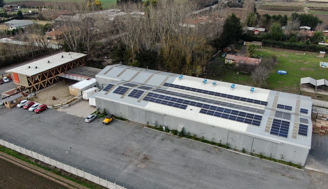 tribu food solcor 1 tribu food solcor 1