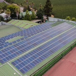 vina los nogales 2 solcor 1