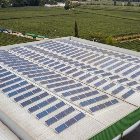 vina los nogales 3 solcor 1