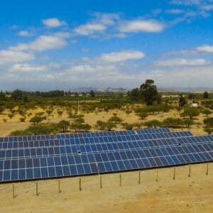 vina polkura solcor 1