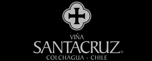 vina santa cruz