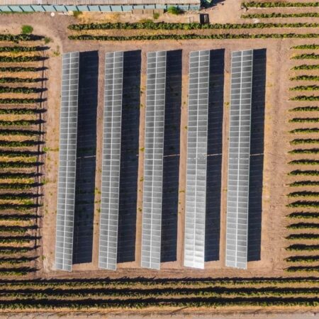 vina viu manent 4 solcor 1