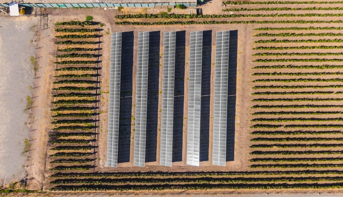 vina viu manent 4 solcor 1 vina viu manent 4 solcor 1