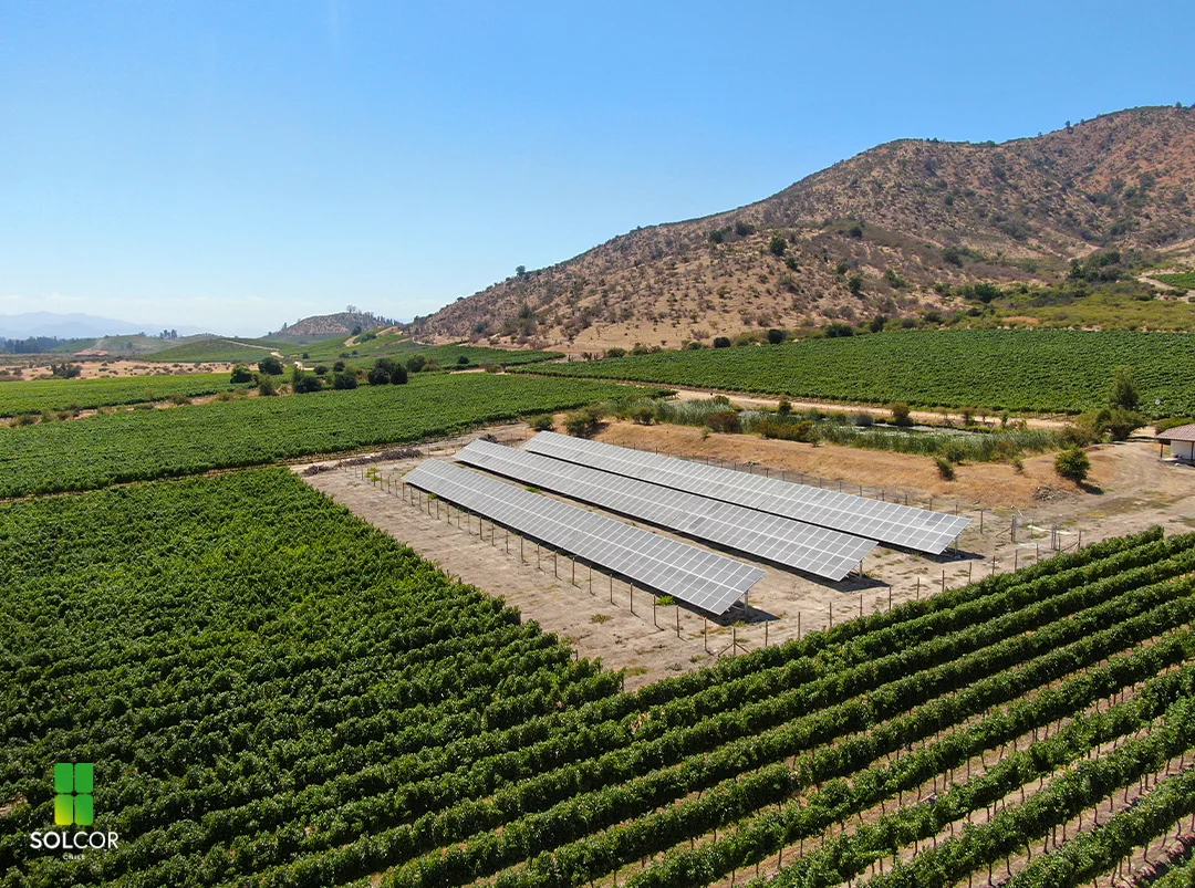 Agrícola el Boldo II Agrícola el Boldo II