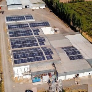 Johnson fruit 1100x634 1