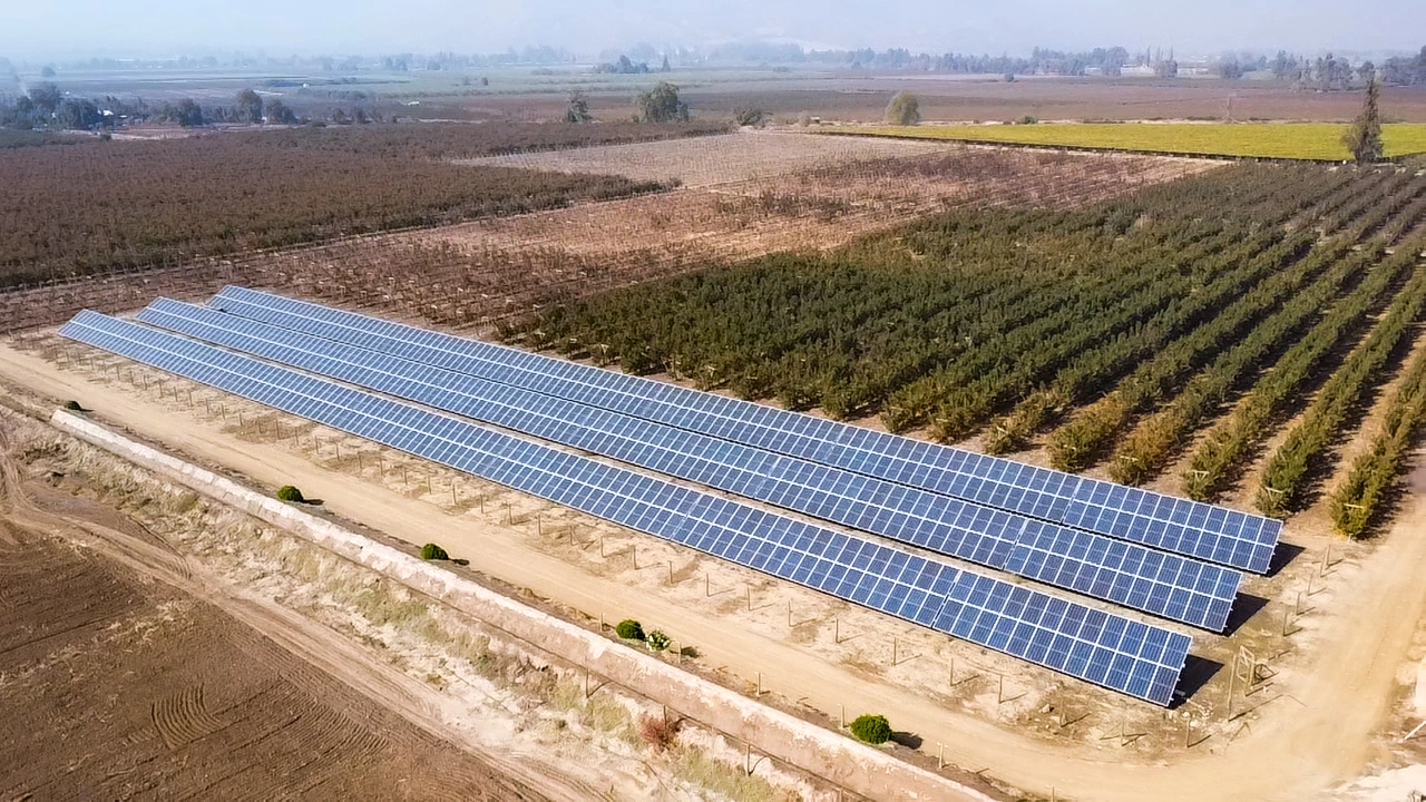 Fruticola Santa Marta 1 Fruticola Santa Marta 1