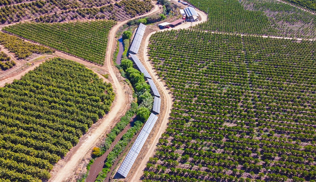 Agricola El Capricho 1 Agricola El Capricho 1