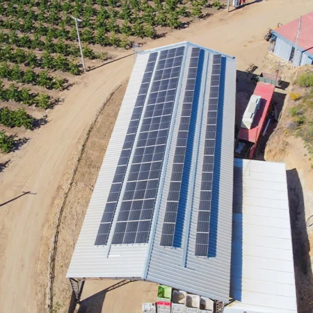 Agricola El Capricho 2