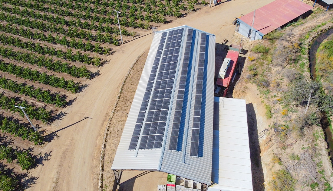 Agricola El Capricho 2 Agricola El Capricho 2