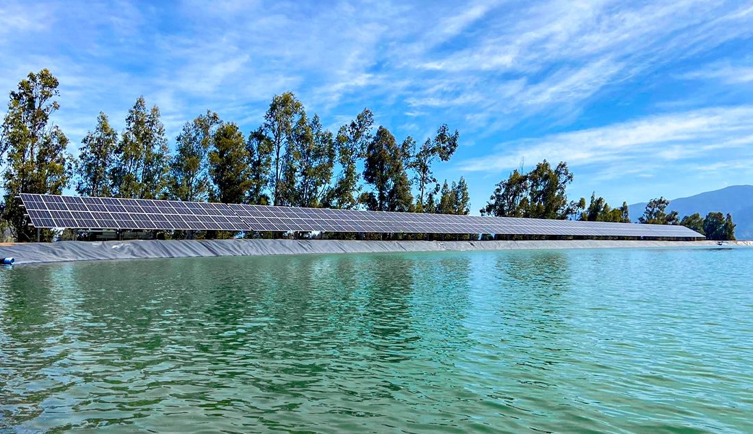 Agricola Miralles Don Alfonso 1 Agricola Miralles Don Alfonso 1