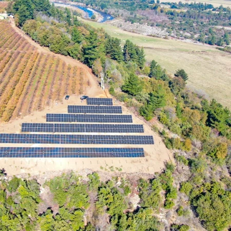 Agricola Potrero Grande 2