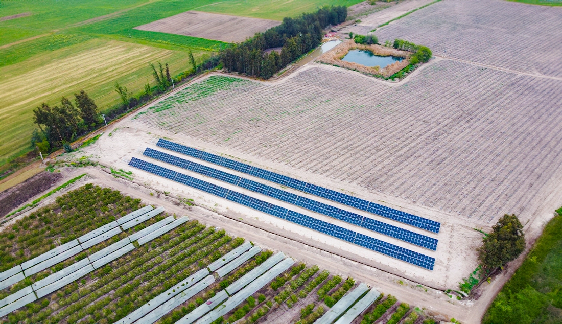 Agricola Santa Julia 1 Agricola Santa Julia 1