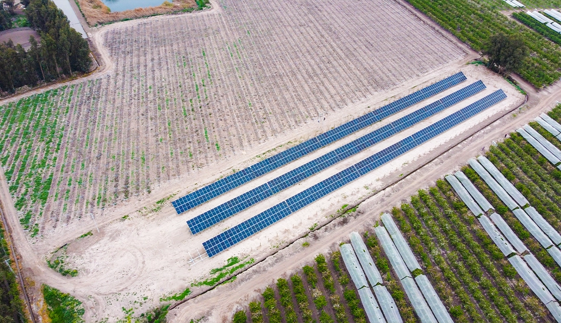 Agricola Santa Julia 2 Agricola Santa Julia 2