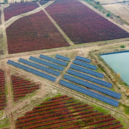 Carsol Abedules ll 2