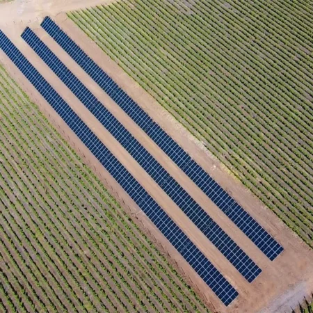 Vuna Undurraga Leyda 1