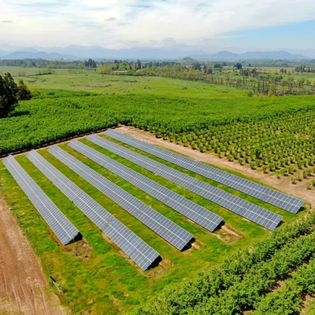 Agrichile La Chispa 1