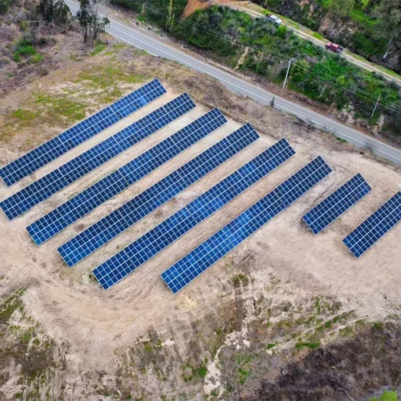 Vinedos Crucesillas 1 1