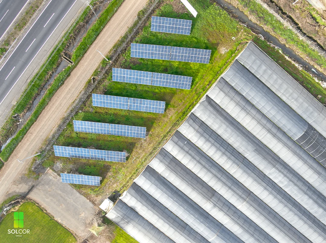 Vivero Sur 2 Vivero Sur 2