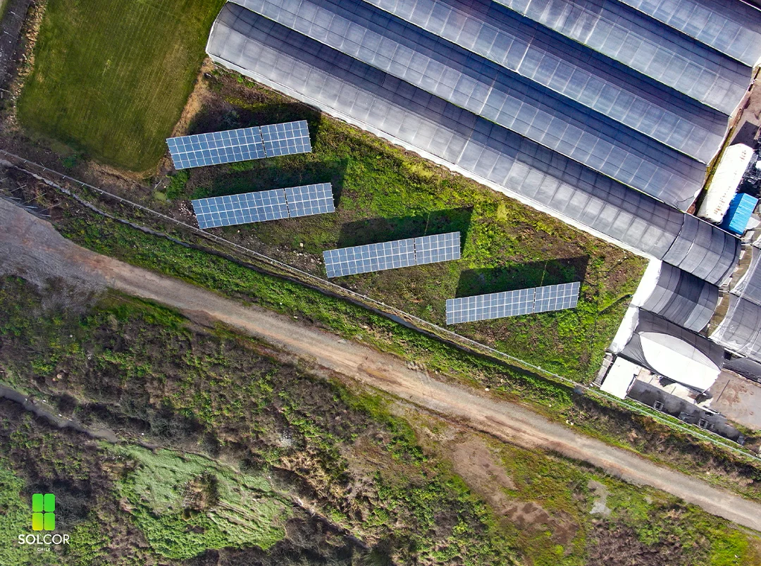 Vivero Sur 3 Vivero Sur 3