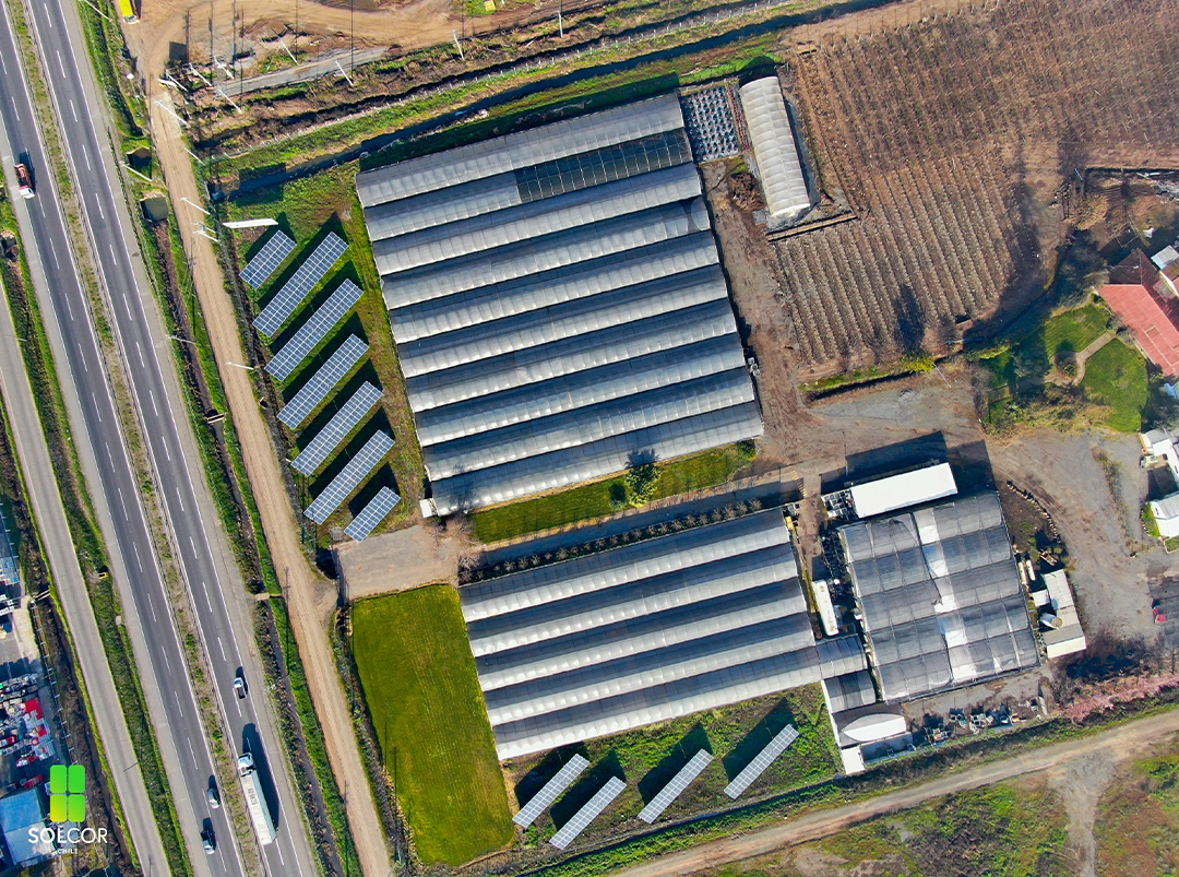 Vivero Sur Vivero Sur