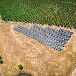 Agricola San Gonzalo