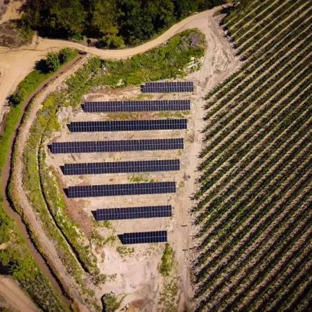 Geofrut Pilares Verdes