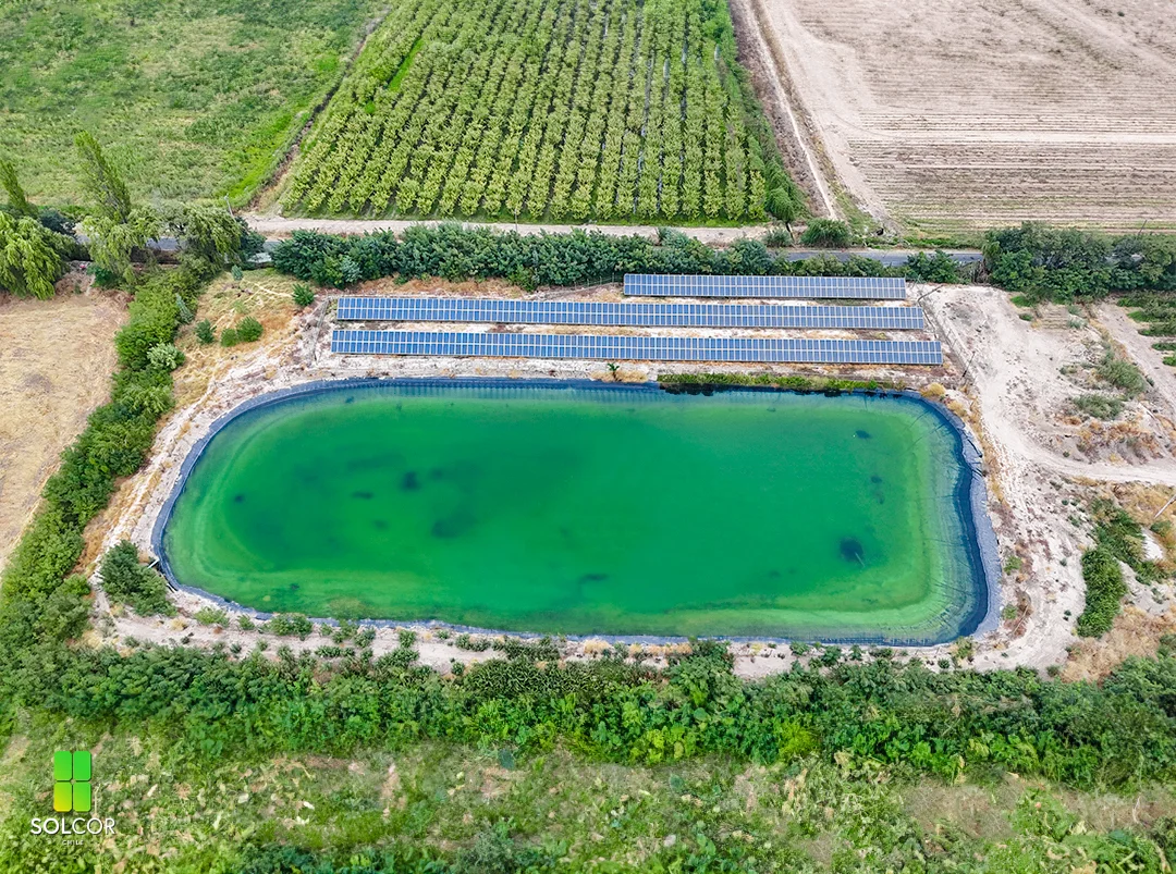 La Merced 1 La Merced 1