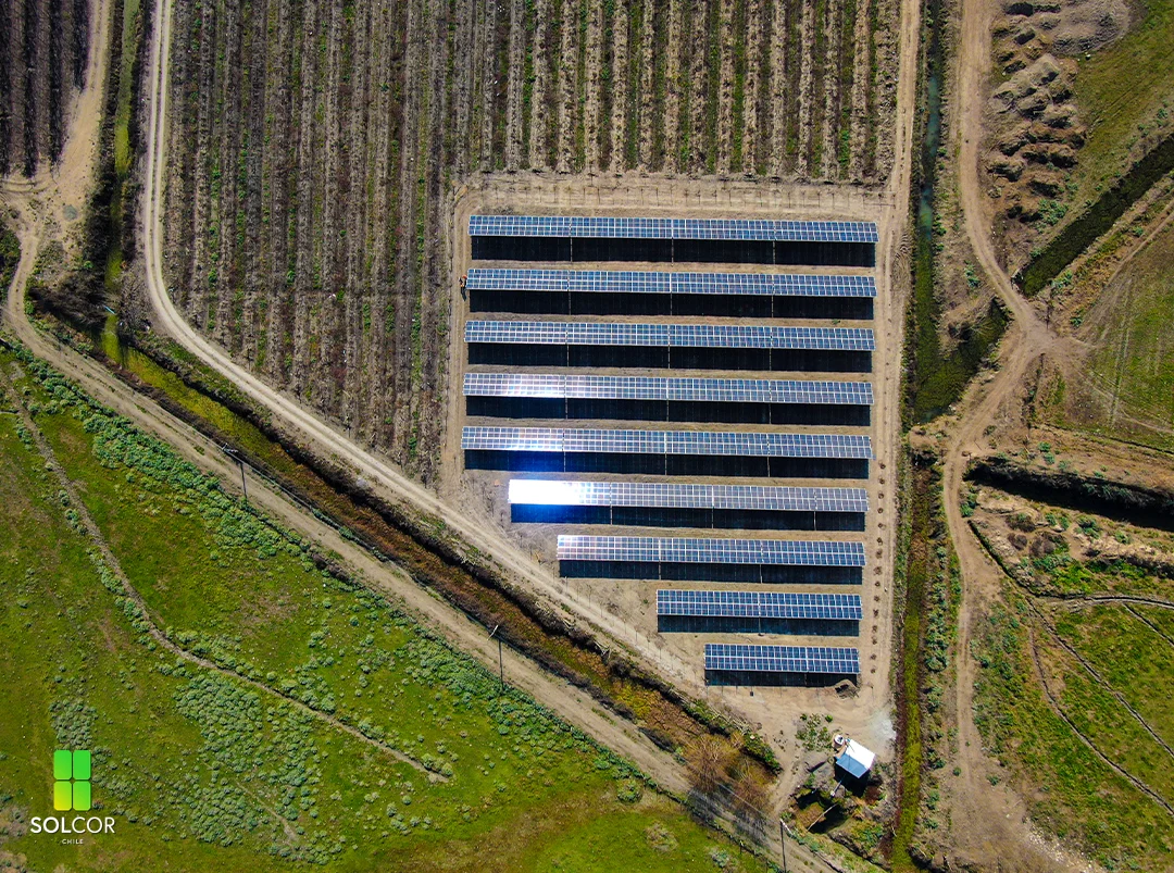 VerFrut Porvenir I 2 VerFrut Porvenir I 2