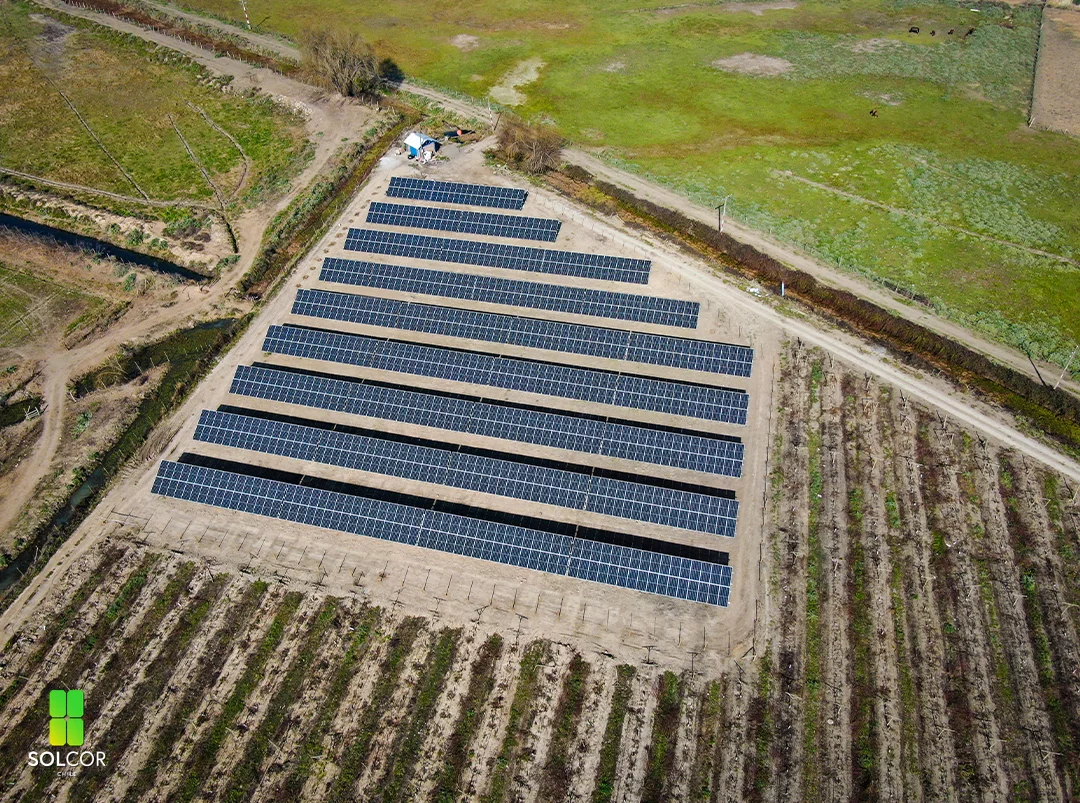 VerFrut Porvenir I VerFrut Porvenir I