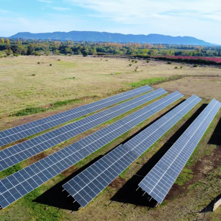 Frigorifico Guerra 1