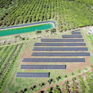 Agrícola Citripal 1