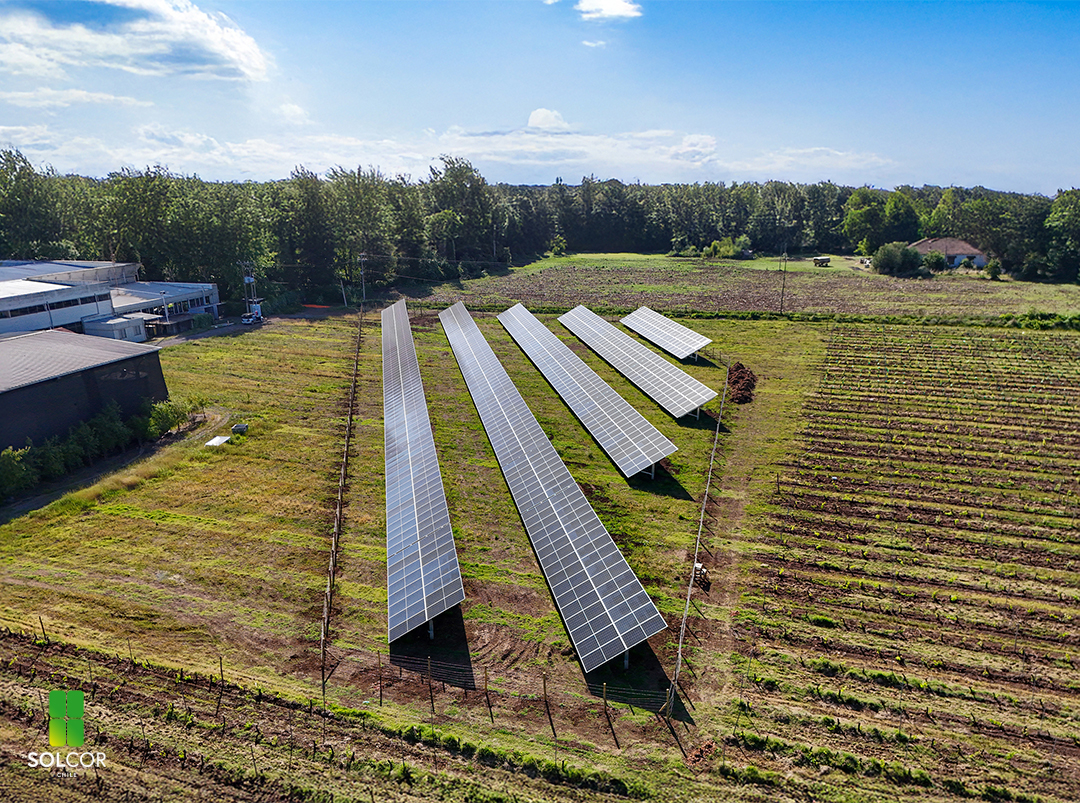 Viña Terranoble 1 Viña Terranoble 1