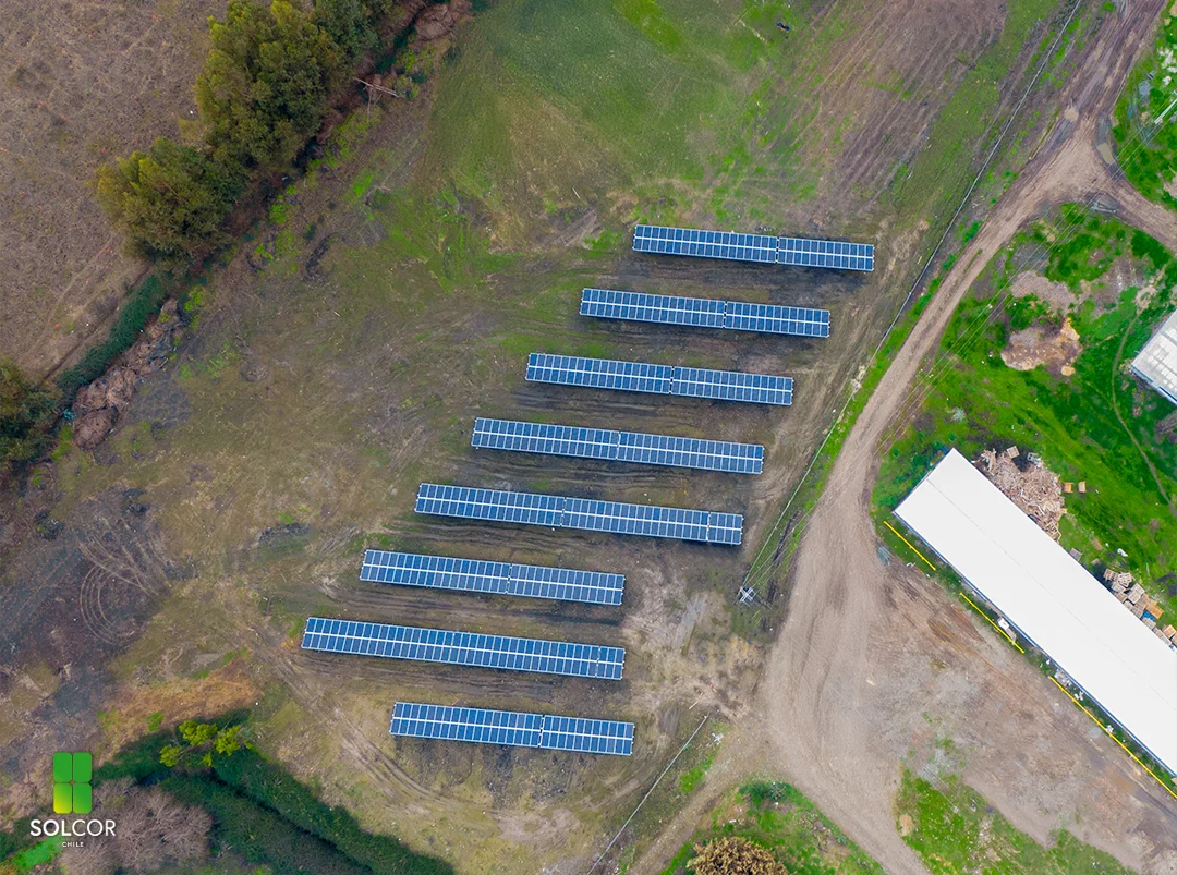 Avícola ST 2 Avícola ST 2